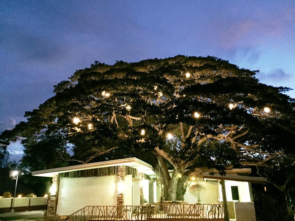 Serviced Apartments By Eco Hotel Bohol Panglao Eksteriør bilde